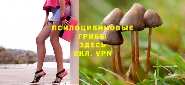 бошки Балахна