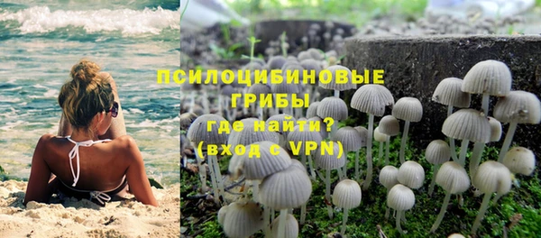 бошки Балахна