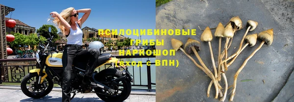 бошки Балахна